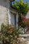 Door and flowers.