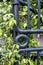 Door garden detail in a public park in Toulouse