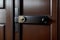 Door Hardware Delight A Captivating Realistic Photo.AI Generated