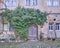 Door and ivy plant in Altenburg, Germany