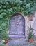 Door and ivy plant in Altenburg, Germany