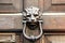 Door-knocker