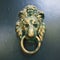 A door knocker is a fixture on the front door of a house. It is made of metal and has the form of a ring, which is