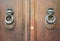 Door Knockers on a door, Siena, Tuscany, Italy