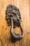 Door lion knocker