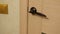 The door opens a door handle