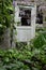 Door in overgrown garden with lilac plant flowers