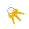 Door or padlock keys on key ring vector illustration