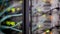 Door of a server rack close-up. Blurred Blink Background. Honeycombs