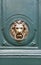 Doorknocker with head of lion on a green wooden door