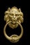 Doorknocker with Lion