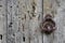 Doorknocker on a weathered wooden door