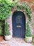 Doors with brick archway covered in green vines in Charleston, South Carolina