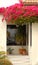 Doorway of home with red flowers draping it