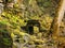 The doorway of a ruined house covered in moss in woodland with scattered stones from the walls