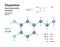 Dopamine Hormone. Neurotransmitter. Structural Chemical Molecular Formula and 3d Model. Atoms are Represented as Spheres