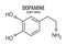 Dopamine molecule, vector chemical formula