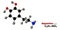 Dopamine neurotransmitter molecule