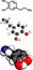 Dopamine neurotransmitter molecule, chemical structure