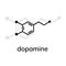 Dopamine vector icon with shadow