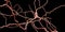 Dopaminergic neuron. Degeneration of this brain cells are responsible for development of Parkinson`s disease