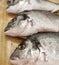 Dorada fresh fish kitchen