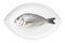 Dorada seafood on a white oval dish. Bream fish.