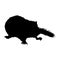 Dormouse Gliridae Silhouette Vector Found In Europe, Asian And Africa