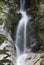 Dorothy Falls, Lake Kaniere, South Island, New Zea