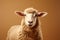 Dorper sheep on light brown background with text space, pastoral elegance