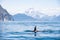 The dorsal fin of a killer whale is visible above the waters of the Pacific Ocean near the Kamchatka Peninsula, Russia