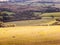 dorset corfe castle field view green landscape open summer day c