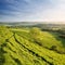 Dorset Landscape