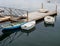 Dory Dock along the Coast of Maine