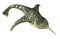 Doryaspis - Prehistoric Fish