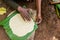 Dorze woman is preparing kocho bread made of enset (false banana), important source of food, Ethiop