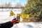 A dosimeter- radiometer in the hand of a tourist, shows a high level of radiation at the site of a burned forest during the