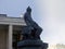 Dostoevsky monument with a pigeon on his head