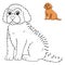 Dot to Dot Goldendoodle Dog Isolated Coloring Page