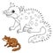 Dot to Dot Tiger Quoll Animal Coloring Page