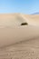 Dots on the sand dunes horizon in Death Valley