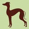 Dotted greyhound