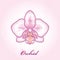 Dotted moth Orchid or Phalaenopsis on the pink textured background with blots in pastel colors.