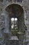 Double arched window in castle ruin