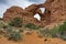 Double arches accented by red sand and green desert scrub in Arc