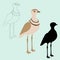 Double - banded courser bird black silhouette vector illustration flat style