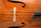 Double Bass