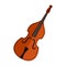 Double bass musical instrument vector illustration. Stringed musical instrument.