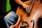 Double bass player - Classic Jazz