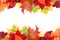 Double border of vibrant colorful autumn leaves